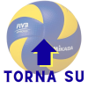 Torna su